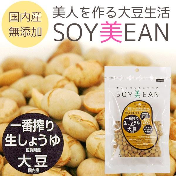 SOYEANi\Cr[jԍ萶傤哤i68gj {{M