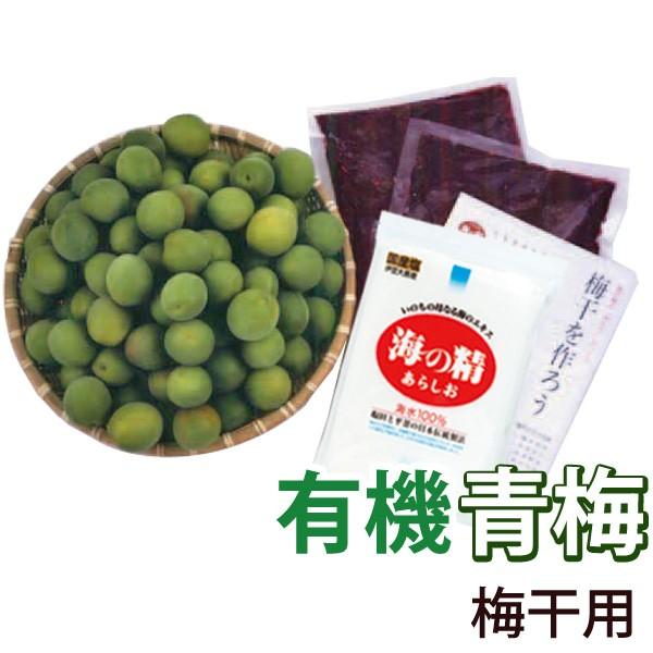 手作り梅干キット（有機青梅2kg、塩400g、有機もみしそ600g） 1セット 海の精 クール便発送 直送につき代引・同梱不可 予約注文