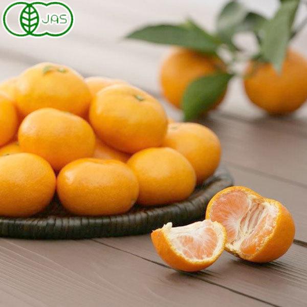 L@ELc݂iSML3kgj Éʉ ɂEs \[~̌IMtg