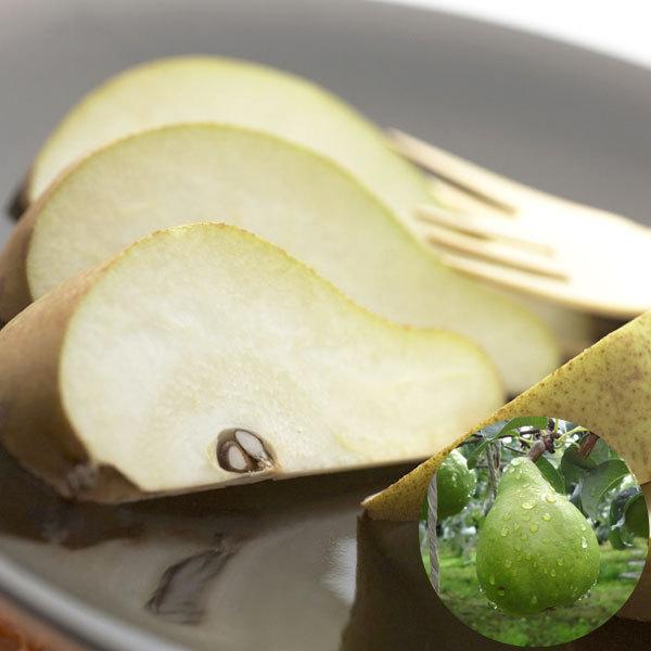 쌧YuEtXvi3kgi8`10ʁjj 񂳂t@[ ɂEs \[~̌IMtg