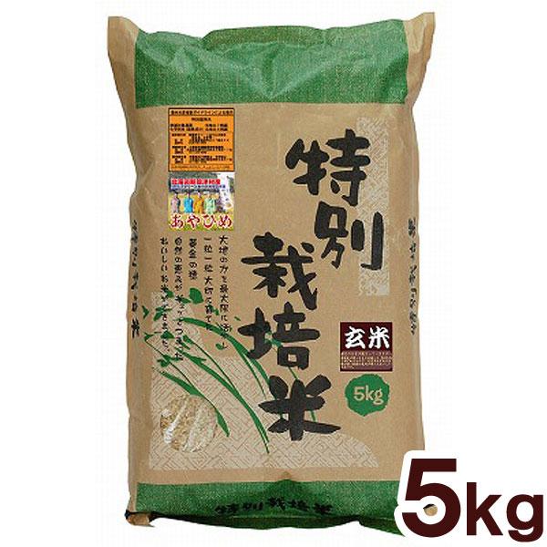 特別栽培米・新篠津あやひめ 玄米（5kg） ムソー 令和7年産 ★★数量限定★★