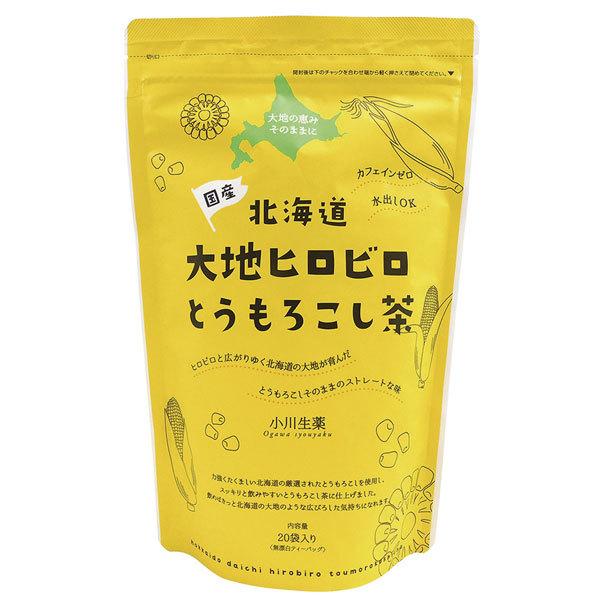 kCnqrƂ낱i100gi5g×20jj 쐶