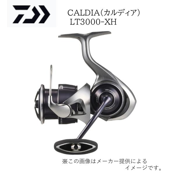 DAIWA（釣り） DAIWA(ダイワ) '25 CALDIA(カルディア) LT3000-XH