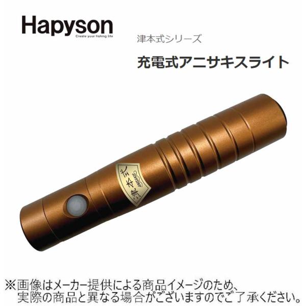 早い者勝ち　ハピソン　津本式　充電式　アニサキスライト　990 充電式アニサキスライト – Hapyson