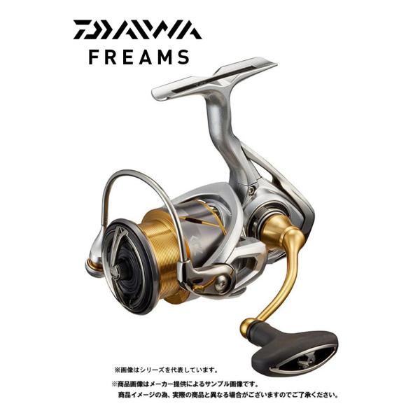 DAIWA（釣り） ダイワ '21 FREAMS(フリームス) LT 3000-CXH