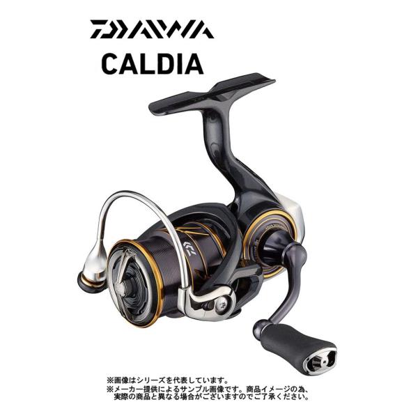 DAIWA(釣り) ダイワ '21 CALDIA(カルディア) FC LT 2500S DAIWA(釣り) ダイワ '21 CALDIA(カルディア) FC LT 2500S