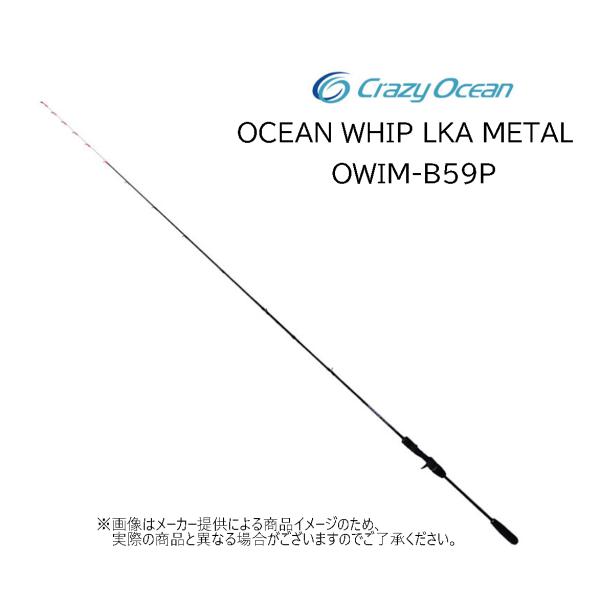 Crazy Ocean（クレイジーオーシャン） オーシャンウィップ イカメタル
