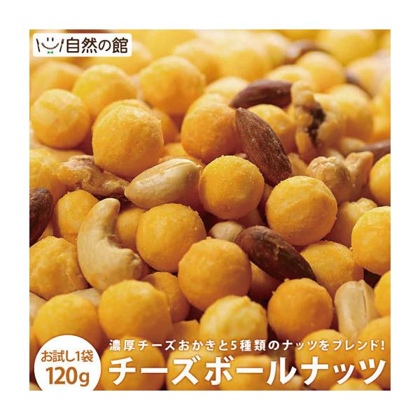 おつまみ おかき ミックスナッツ 送料無料 チーズボールナッツ 120g お試し おやつ お菓子 チーズおかき 乾杯 ポイント消化 非常食 保存食 訳あり