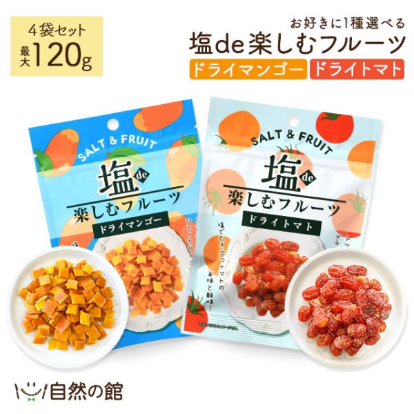 塩de楽しむフルーツ トマト マンゴー 4個セット 塩 塩分補給 お菓子 おやつ ドライフルーツ フルーツ 送料無料 保存食 非常食 訳あり ダイエット 熱中症  爆買