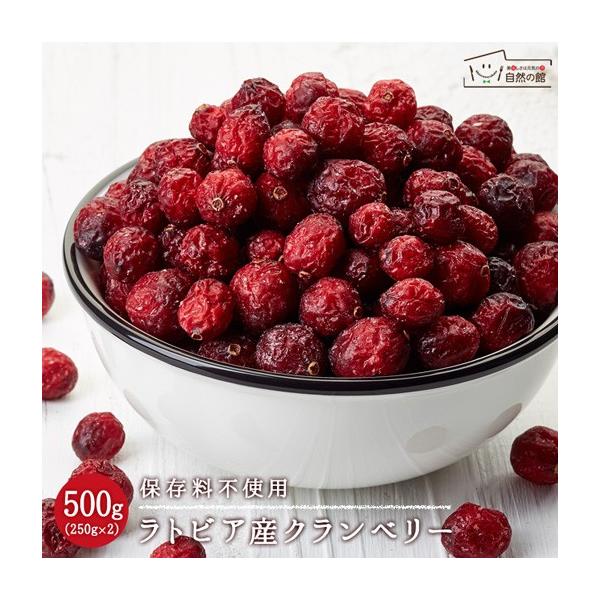 hCNx[ 500g(250g×2) grAY z[ ۑsgp  hCt[c `bNt  R̊ H Q  