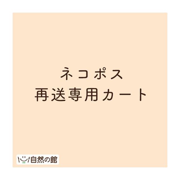 再送料金専用カートです。