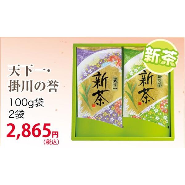 父の日 新茶 （ 静岡茶 ・ 掛川茶） ギフト 天下一・掛川の誉100ｇ×2袋セット ラッピング済 発売は2026年5月4日から