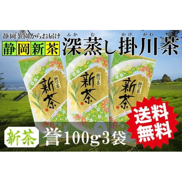 shizuoka-tea_mikasa0407