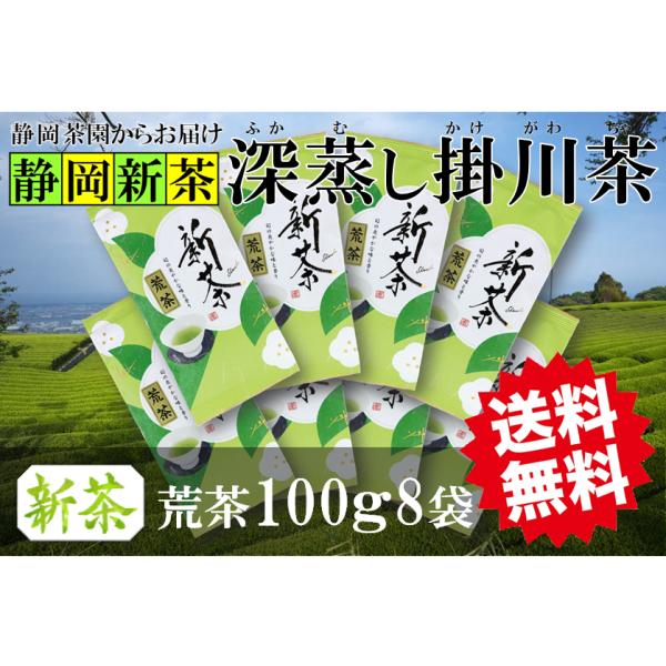 荒茶 仕立て 新茶 深蒸し 掛川茶 100g8袋 静岡県掛川産 一番茶100％ 発送は2026年5月15日から
