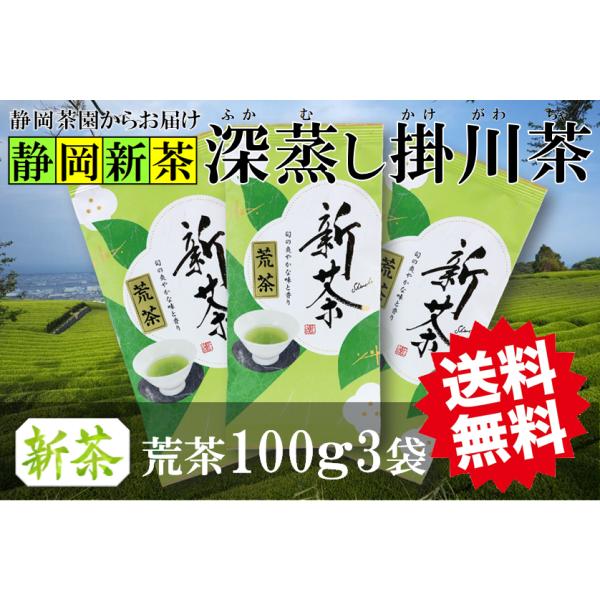 荒茶 仕立て 新茶 深蒸し 掛川茶 100g3袋 静岡県掛川産 一番茶100％ メール便 （郵便受け投函） 発送は2026年5月15日から