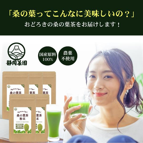 ・・・＊　桑の葉茶　＊・・・名称：桑の葉茶粉末  100g (国産) 原材料名：国産桑葉(九州産)内容量：100ｇ×5袋賞味期限：約１年保存方法：高温多湿を避け移り香にご注意下さい。取扱い上の注意：開封後はお早めにお飲み下さい。※本品は医薬...