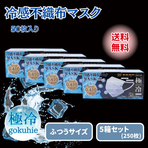 ヒロ・コーポレーション 冷感マスク 不織布 50枚 極冷マスク プリーツ