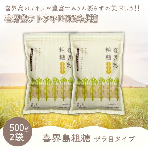 粗糖 500g 2袋 喜界島 さとうきび 風と光 シュガー ザラ目 sugar まとめ買い オーガニック