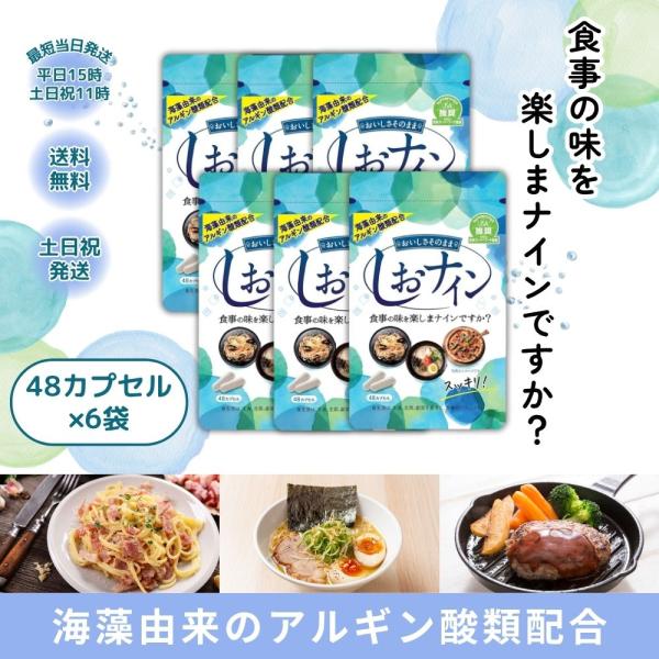 しおナイン 48粒 6袋 塩分 サプリメント 塩ナイン シオナイン 無添加 サポート成分配合 トイメディカル 日本製