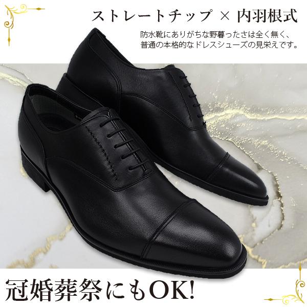 shobido_051110000035-101_4