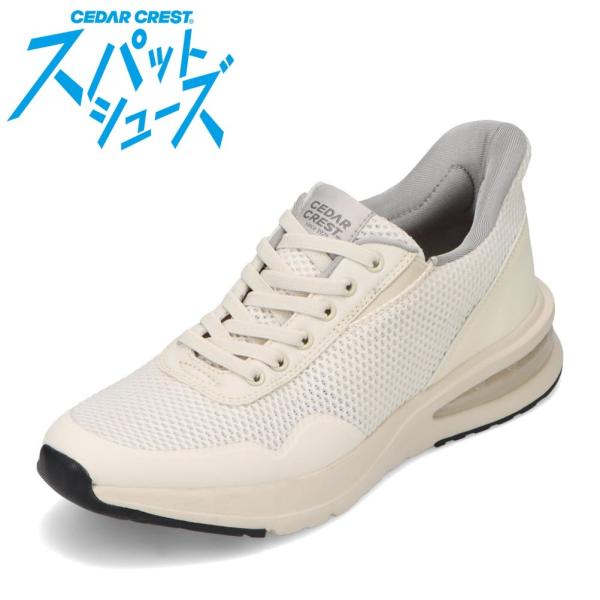 スパットシューズ（スニーカータイプ） セダークレスト CC-60912 メンズ スパットシューズ スニーカー 人気 ブランド ベージュ SALE