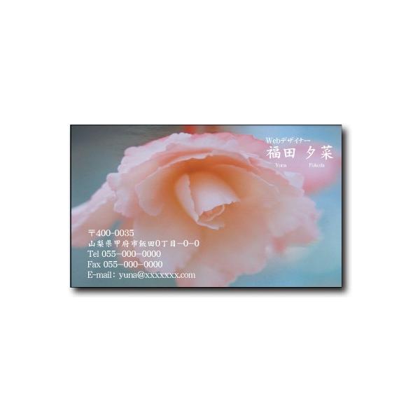 h 쐬 h yIWih(1Zbg100)EP[Xtz\i̓mNh(̂)̗łBmȗ͓X̃[łA