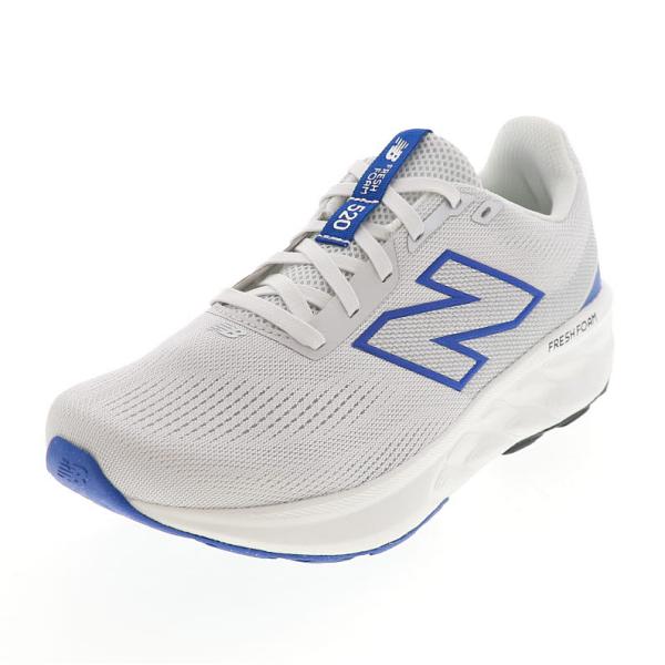 New Balance（ニューバランス） new balance FRESH FOAM 520 V9 メンズ