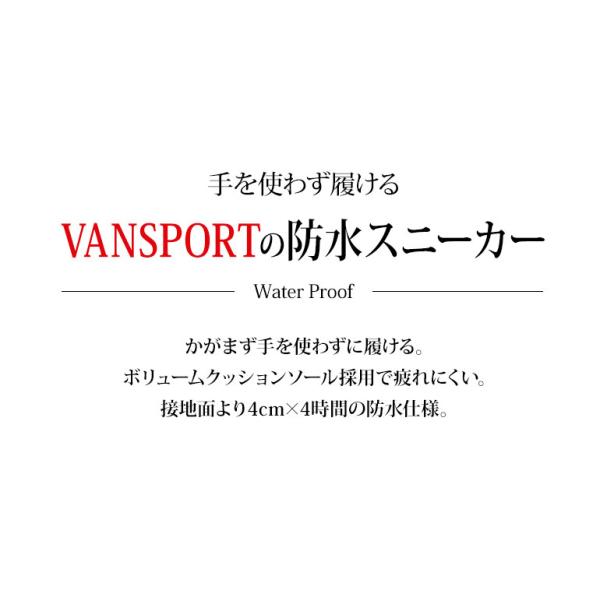 shoepark-bstyle_van0017_1_d_20250219152452