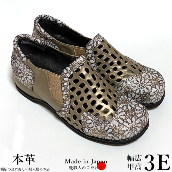 ݌ɏ Z[ z 󂠂 L 4e T_ Bi { wlC {v 22.5cm  4e ₷ ɂȂ