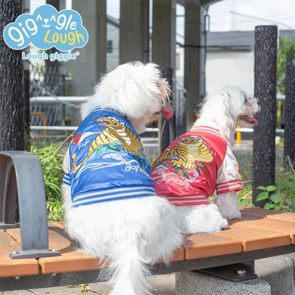 shoes-iland_8401-870-12311-25