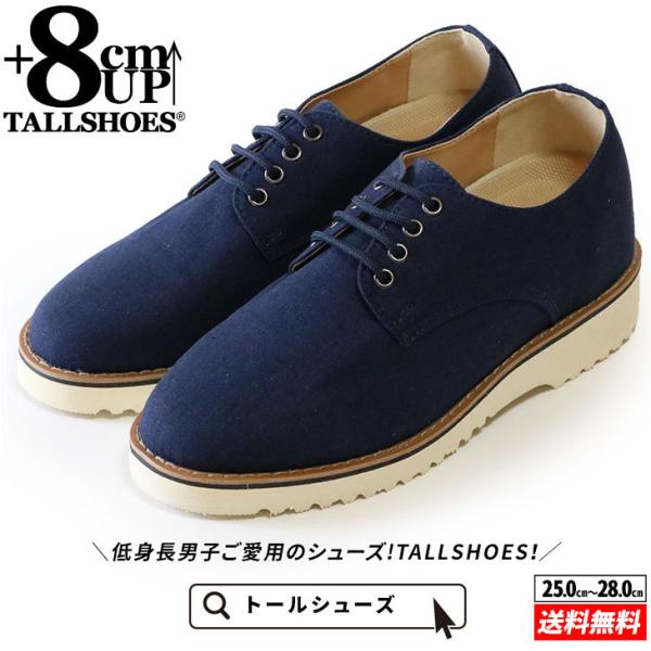 V[NbgV[Y C Xj[J[ g[V[Y Xj[J[ グ Y Cグ 8cm wȂC gAbv V[NbgXj[J[