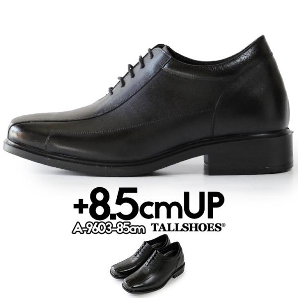 V[NbgV[Y vC rWlXV[Y V[Nbg C Y g[V[Y wȂC 8.5cm gAbv V[Y グC  {vC