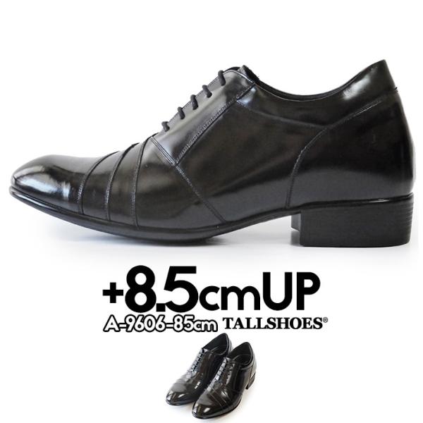 V[NbgV[Y vC rWlXV[Y V[Nbg C Y g[V[Y wȂC 8.5cm gAbv V[Y グC  {vC