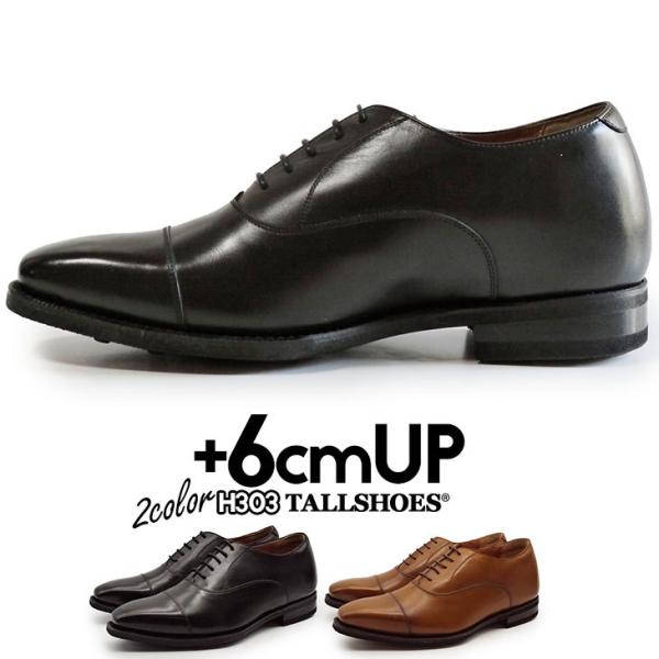 V[NbgV[Y rWlXV[Y Y 6cmAbv  uC_ C ObhC[EFg@ {v H Xg[g`bv tH[} 