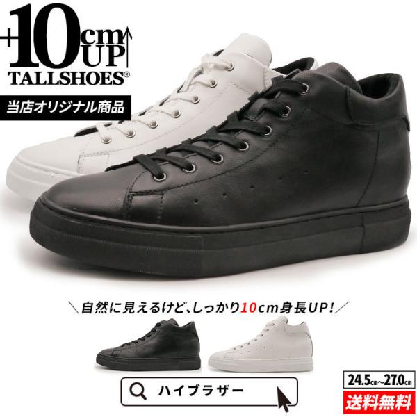 V[NbgV[Y Y 10cmAbv nCJbg Xj[J[ g[V[Y  v ϋv lC gAbv ubN zCg JWA 