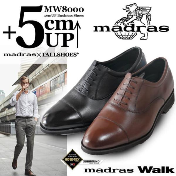 V[NbgV[Y vC }hX rWlXV[Y V[Nbg Cグ Y g[V[Y wȂC 5cm V[Y {vC madras