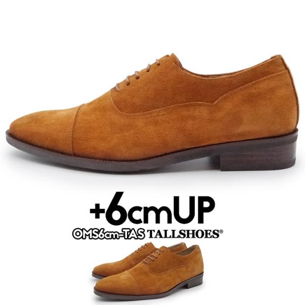 V[NbgV[Y  vC g[V[Y 6cm rWlXV[Y C amC gAbv wȂC XG[hC  {v q[Abv