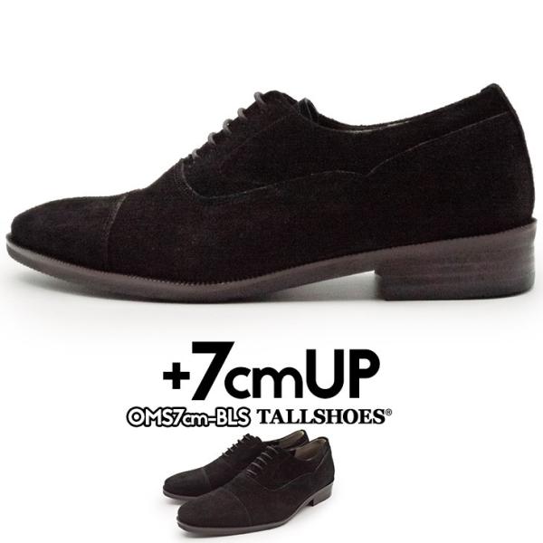 V[NbgV[Y  vC g[V[Y 7cm rWlXV[Y C amC gAbv wȂC XG[hC  {v q[Abv