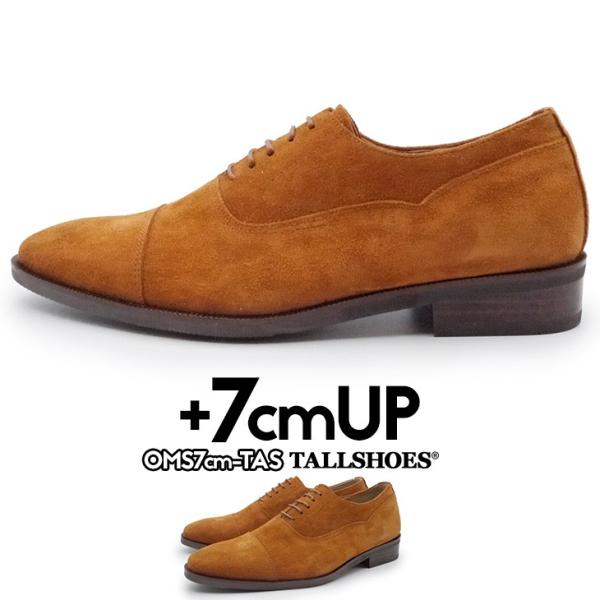 V[NbgV[Y  vC g[V[Y 7cm rWlXV[Y C amC gAbv wȂC XG[hC  {v q[Abv