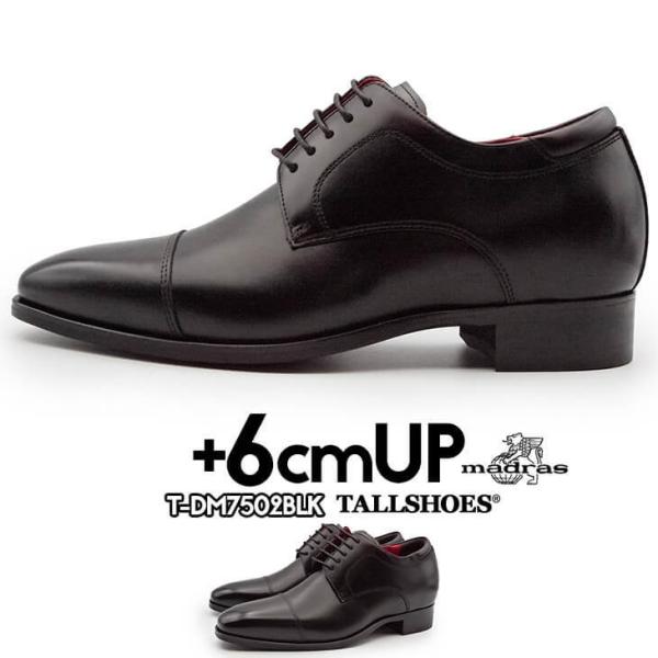 V[NbgV[Y rWlXV[Y vC }hX f q[Abv Cグ Y g[V[Y wȂC 6cm V[Y madras