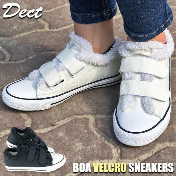  fB[X Xj[J[ Xb| xN {A    C fB[X