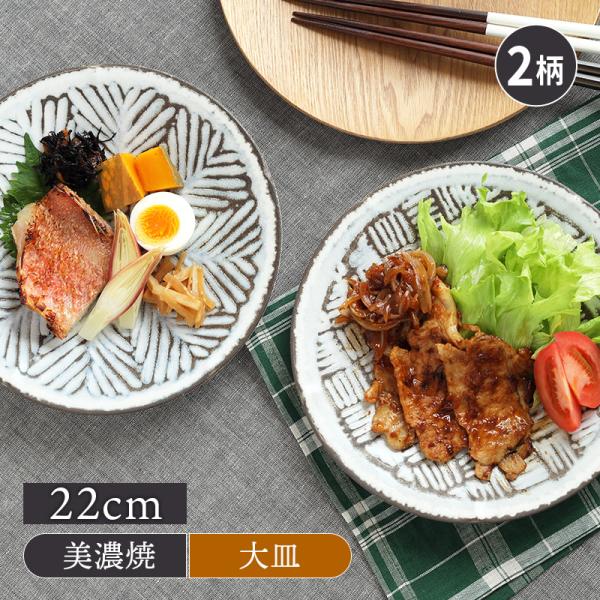 万能大皿 主菜皿 22cm 雪プレート お皿 皿 食器 大皿 ディナープレート ワン