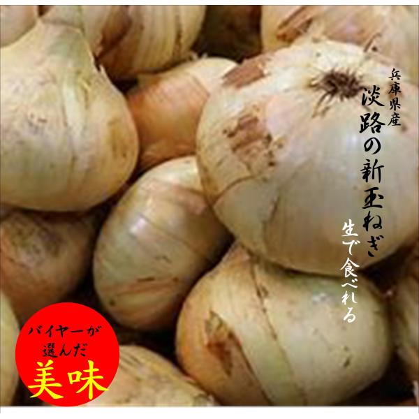 サラダに最適！！辛みの少ない淡路の玉ねぎ！！サラッと水にさらしてサラダに！！