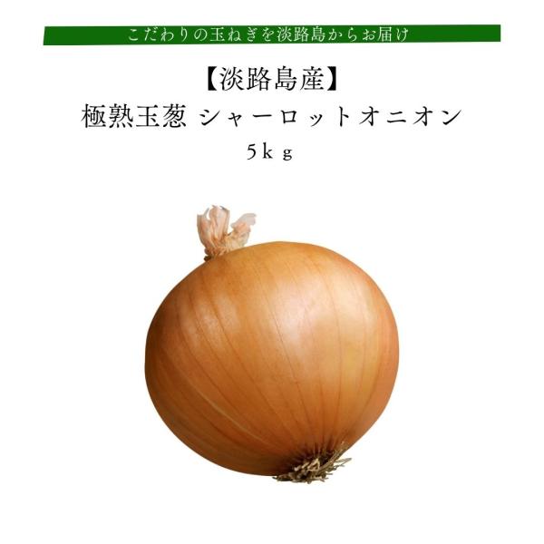 玉ねぎ大国淡路島のシャーロットオニオン品種は早生品種でJAS認定である海のミネラルたっぷりの有機肥料を使用することにより苦味、辛味がなくおいしい玉ねぎを追求し育てられた「シャーロットオニオン」です。 生でも十分甘味がありますが、熱を加えるこ...