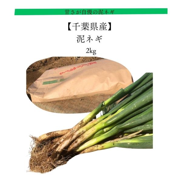 冬の食卓にぴったりの泥ネギこだわりの酵素農法によって甘さが自慢の泥ネギ。焼いても良し。お鍋に入れても良し。とろける甘さが引き立ちます。甘くシャキシャキ食感のネギを是非とも味わってみてください。内容量：ネギ　2kg原料：ネギ保存方法：常温で保...