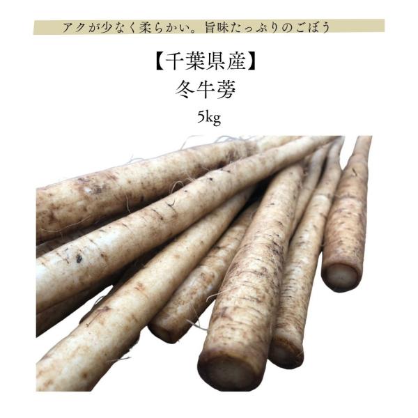 旨味たっぷりの冬牛蒡栄養も旨味もたっぷり。アクも少なく、使いやすいので、叩きごぼうや、豚汁、きんぴら、てんぷらやかき揚げなど用途多彩です。柔らかくて美味しいごぼうを是非とも味わってみてください。内容量：冬牛蒡　5kg原料：冬牛蒡保存方法：常...