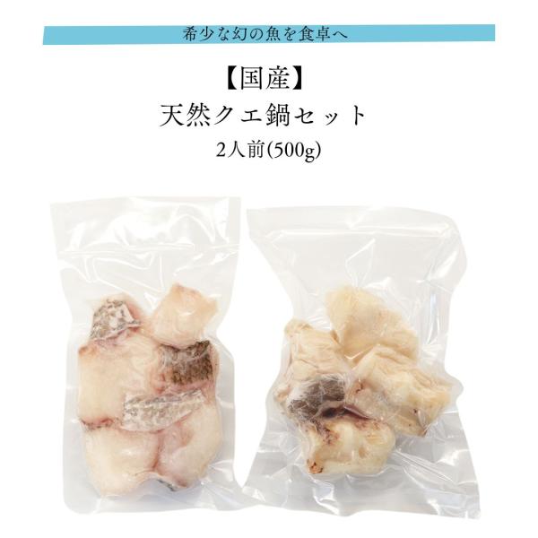 クエ 海鮮鍋セット 国産 天然 2人前 500g 化粧箱入 産地直送 お取り寄せ ギフト 父の日