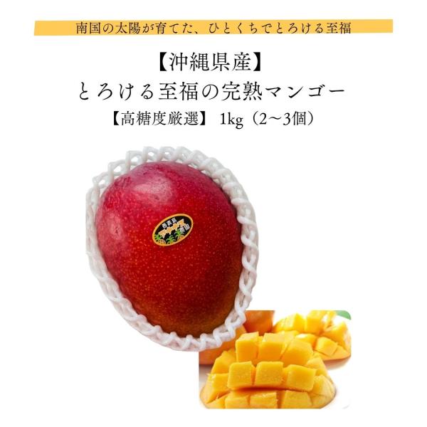 とろける至福の完熟マンゴー【高糖度厳選】1kg（2〜3個）沖縄県産 産地直送 お中元 ギフト 贈答 お祝い 国産