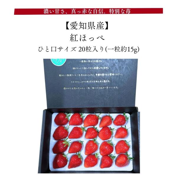 ひと口で伝わる、農園自慢の紅ほっぺ「紅ほっぺ」は、甘み・酸味・香りのバランスが際立つ、完成度の高いいちごです。生産者の想いと、自然の恵みが詰まった一粒は、ご自宅用はもちろん、大切な方への贈り物にも最適。ぜひ、この濃厚なおいしさをご堪能くださ...