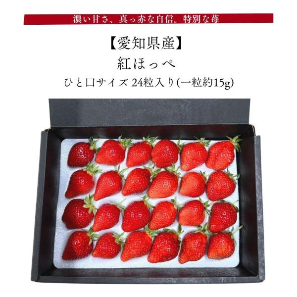 ひと口で伝わる、農園自慢の紅ほっぺ「紅ほっぺ」は、甘み・酸味・香りのバランスが際立つ、完成度の高いいちごです。生産者の想いと、自然の恵みが詰まった一粒は、ご自宅用はもちろん、大切な方への贈り物にも最適。ぜひ、この濃厚なおいしさをご堪能くださ...